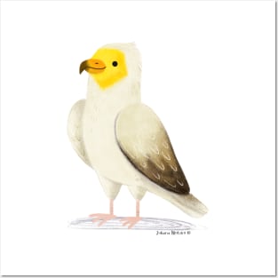 Egyptian Vulture Posters and Art